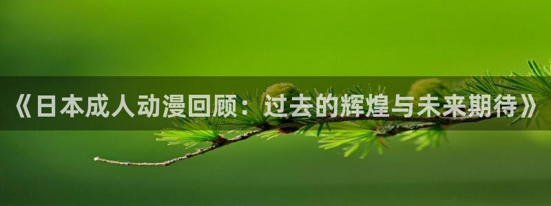 age动漫樱花：《日本成人动漫回顾：过去的辉煌与未来期待》