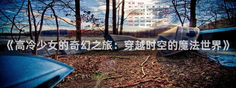 age动漫官网在线入口：《高冷少女的奇幻之旅：穿越时空的魔法世界》