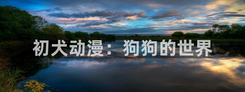 age动漫下载：初犬动漫：狗狗的世界