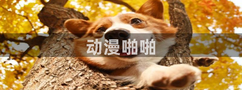 backstage韩漫免费观看：动漫啪啪