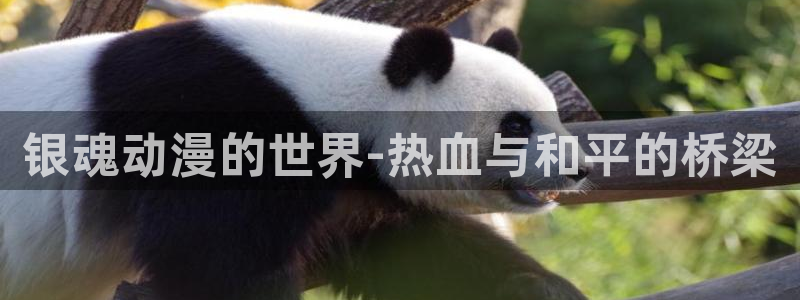 age动漫正版网：银魂动漫的世界-热血与和平的桥梁