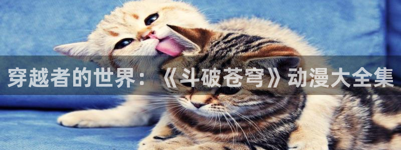 age动漫：穿越者的世界：《斗破苍穹》动漫大全集