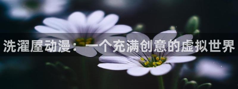 age动漫官网樱花动漫：洗濯屋动漫：一个充满创意的虚拟世界
