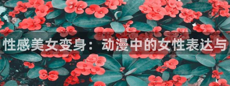 age动漫官网入口老版本：性感美女变身：动漫中的女性表达与