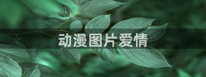 age动漫专注动漫的门户网站：动漫图片爱情