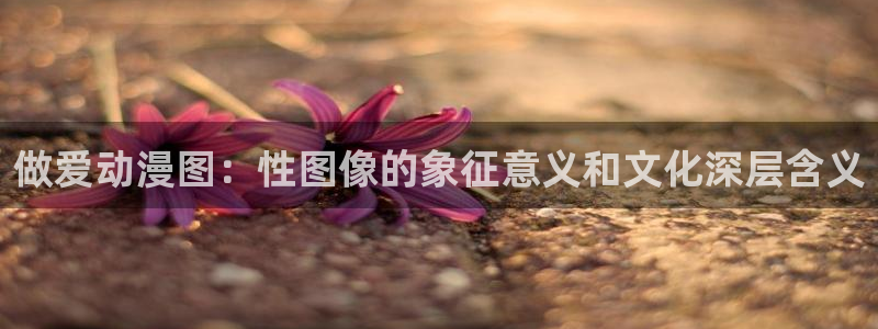 age动漫网上看：做爱动漫图：性图像的象征意义和文化深层含义