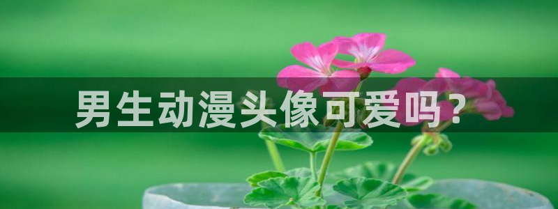 age动漫omofun：男生动漫头像可爱吗？
