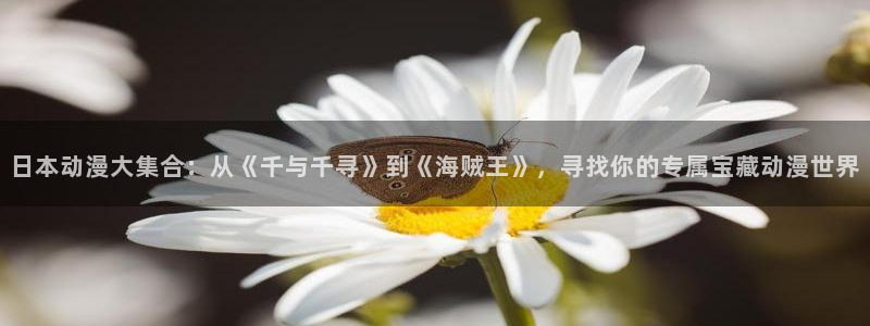age动漫下载网：日本动漫大集合：从《千与千寻》到《海贼王》，寻找你的专属宝藏动漫世界