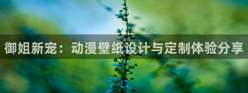 age动漫樱花：御姐新宠：动漫壁纸设计与定制体验分享