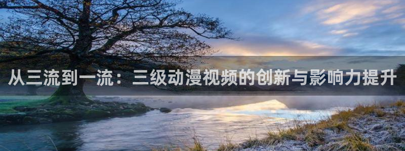 age动漫官网网址：从三流到一流：三级动漫视频的创新与影响力提升