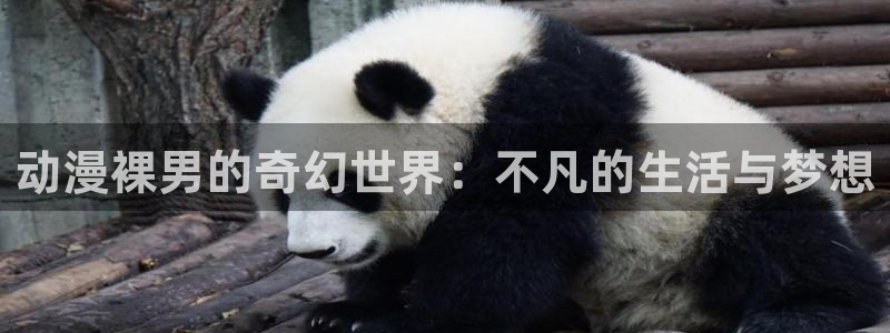 colomanage漫画官网：动漫裸男的奇幻世界：不凡的生活与梦想